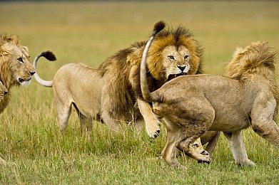 《地铁：逃离》PS4版存档无法转移到PS5版中