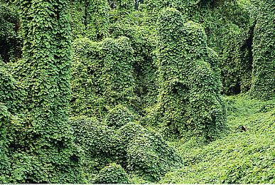 《战争机器：重装上阵》PC配置公开 推荐1070显卡