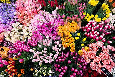 《战锤40K：星际战士2》新截图发布