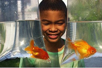 《初音未来：不思议星星与许愿碎片》Steam页面上线 发售日期待定